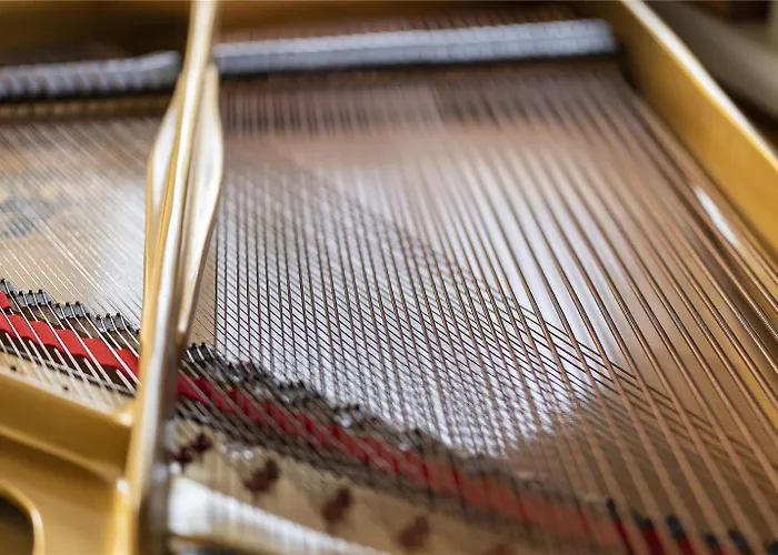 Hotel Excelsior Belvedere & Ischia