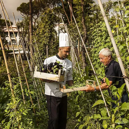 Excelsior Belvedere &